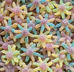 Mini Octopus  100 Gr